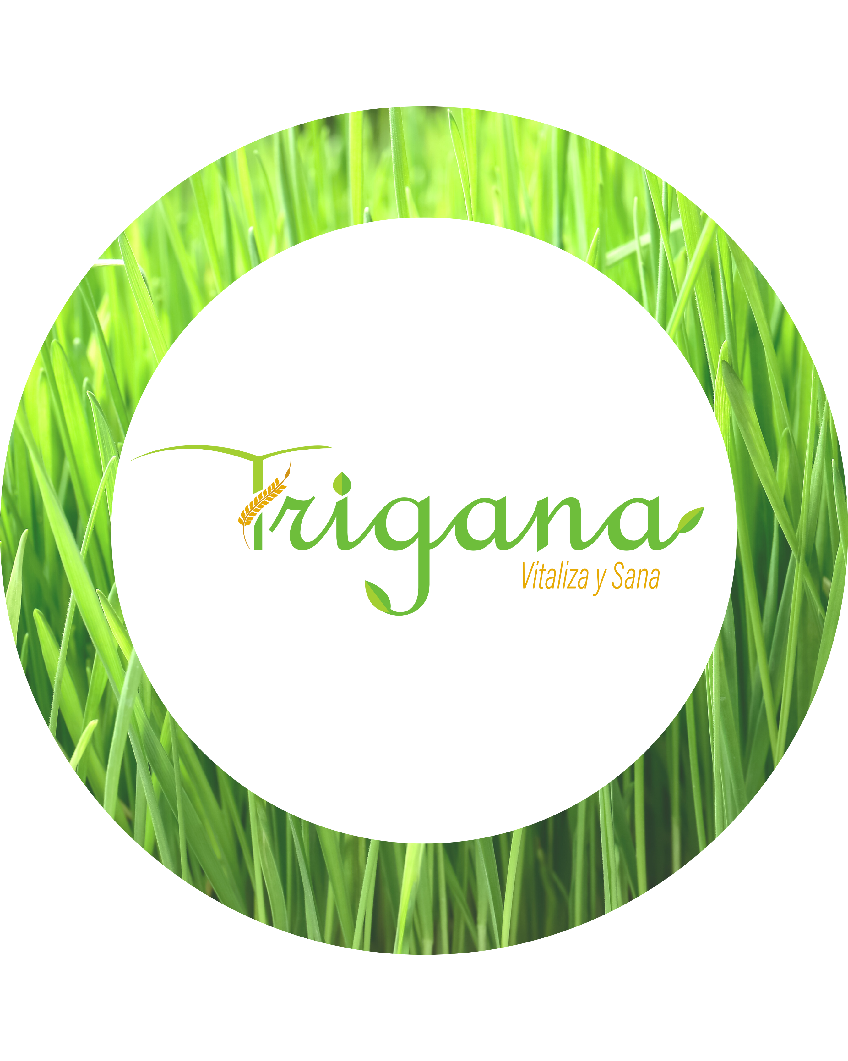 Trigana